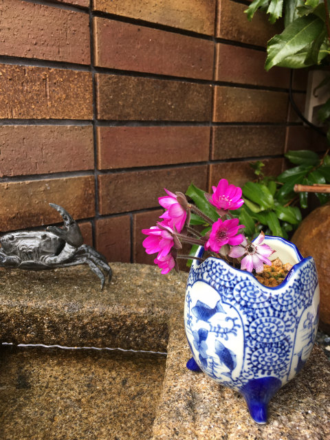 作品集・葉月園